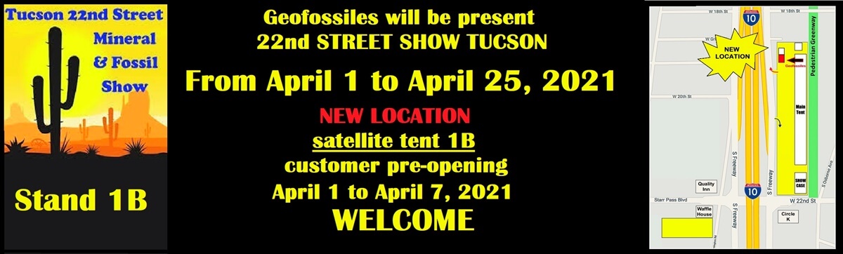 NEW GEOFOSSILES LLC TUCSON SHOW APRIL 2021