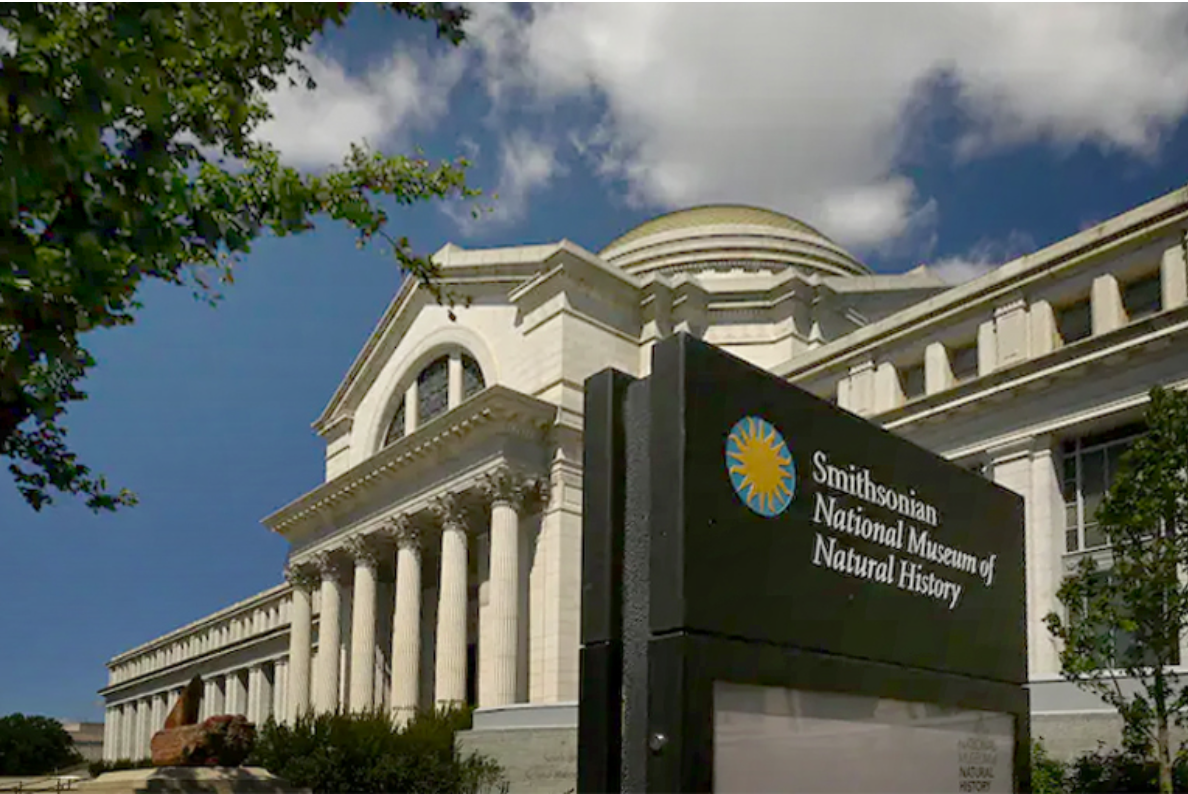 Smithsonian Natural History Museum to reopen June 18