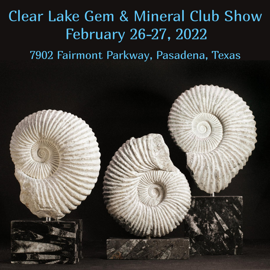 Clear Lake Gem and Mineral Society Annual Show 2022