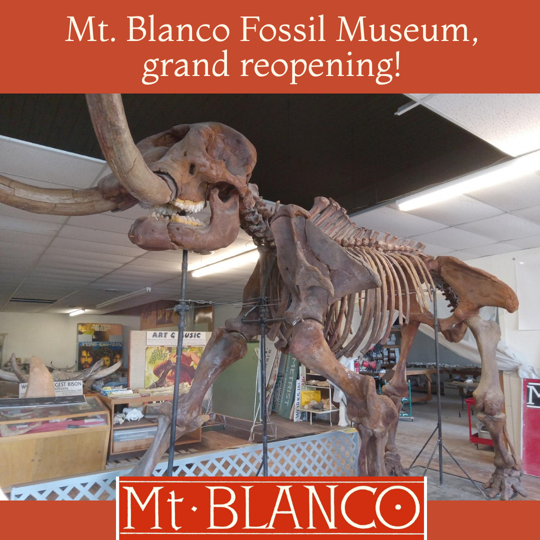 Mt. Blanco Fossil Museum, grand reopening!