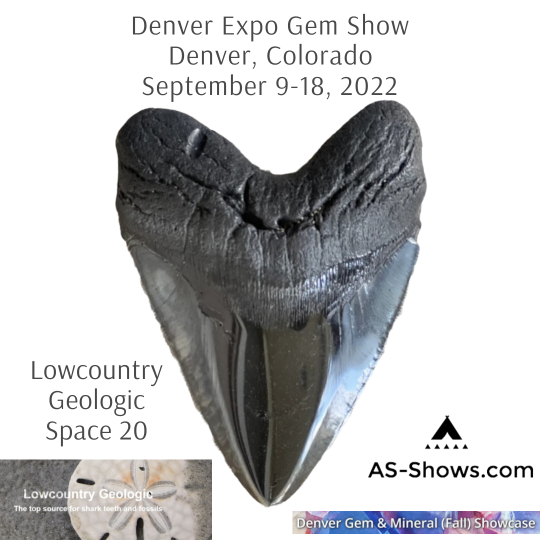 Lowcountry Geologic at the Denver Expo Gem Show 2022