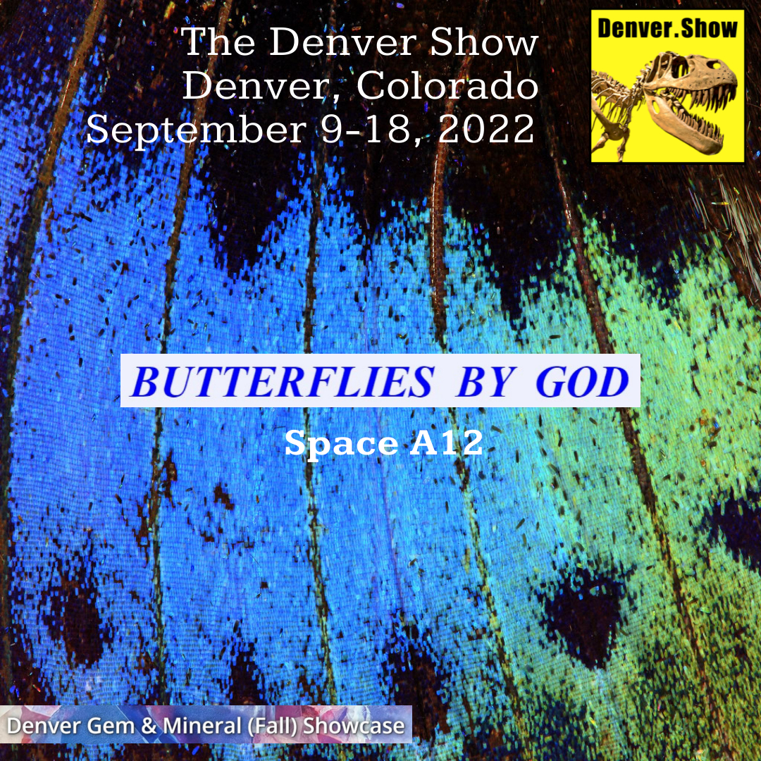Butterflies by God at the Denver Show 2022