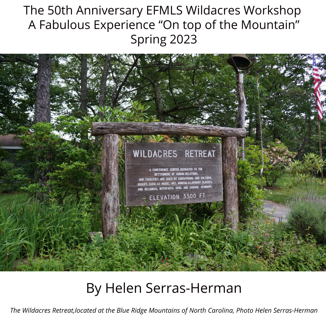 The 50th Anniversary EFMLS Wildacres Workshop:  A Fabulous Experience “On top of the Mountain”— Spring 2023