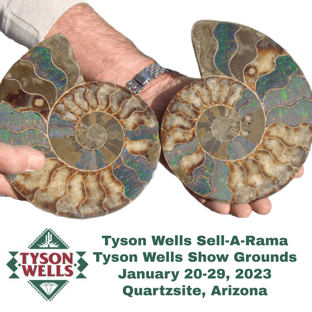 Tyson Wells Sell-A-Rama 2023