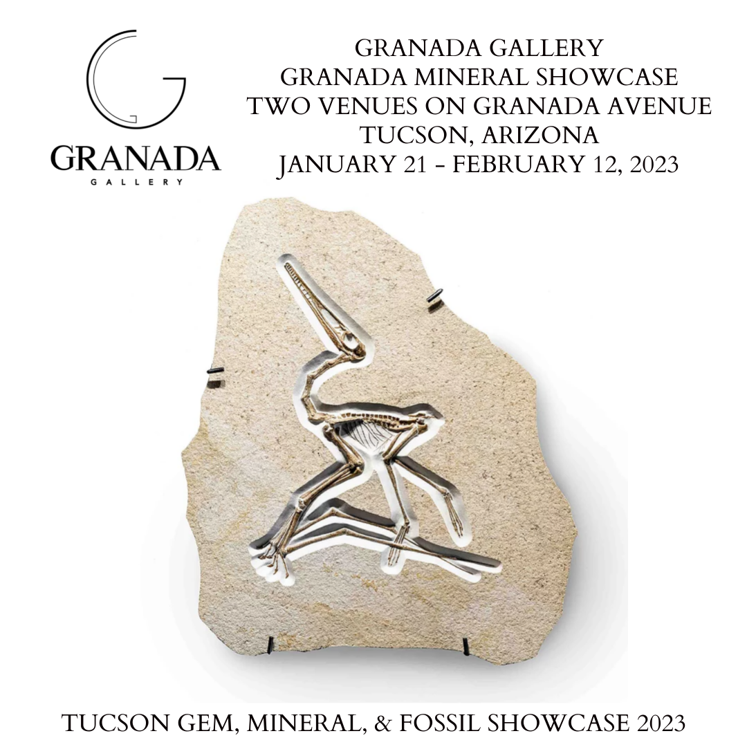 Granada Gallery & Granada Mineral Showcase 2023