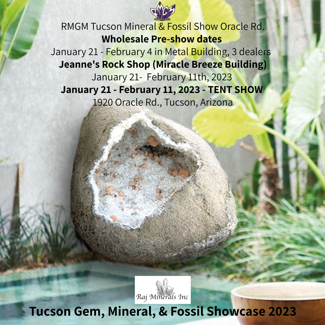 RMGM Tucson Mineral & Fossil Show - Oracle Rd. 2023 - Early Open