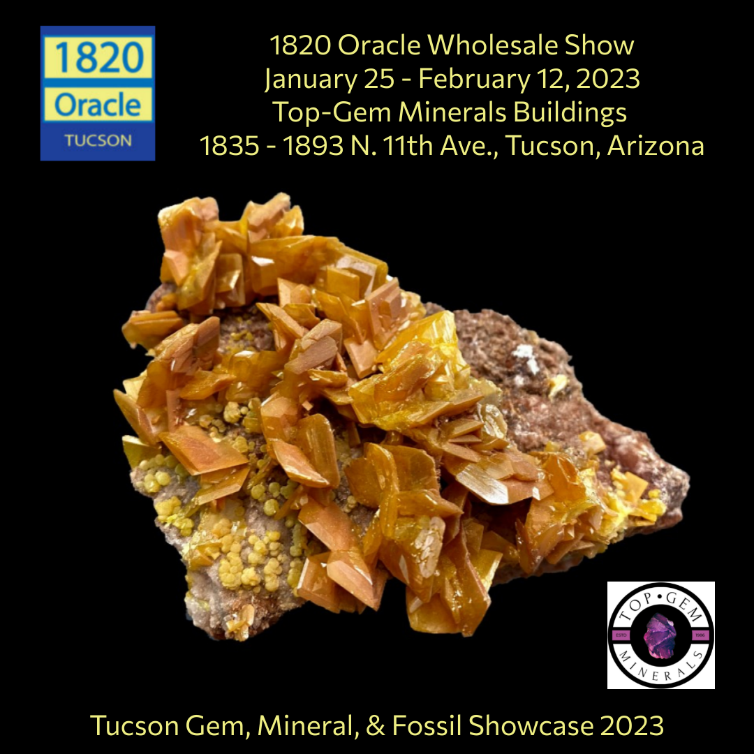 1820 Oracle Wholesale Show 2023