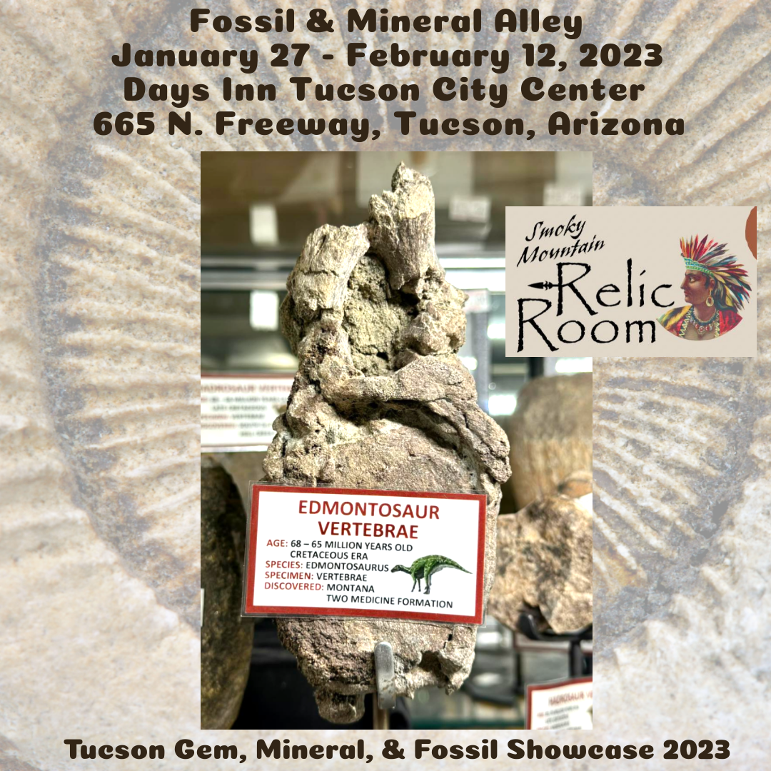 Fossil & Mineral Alley 2023