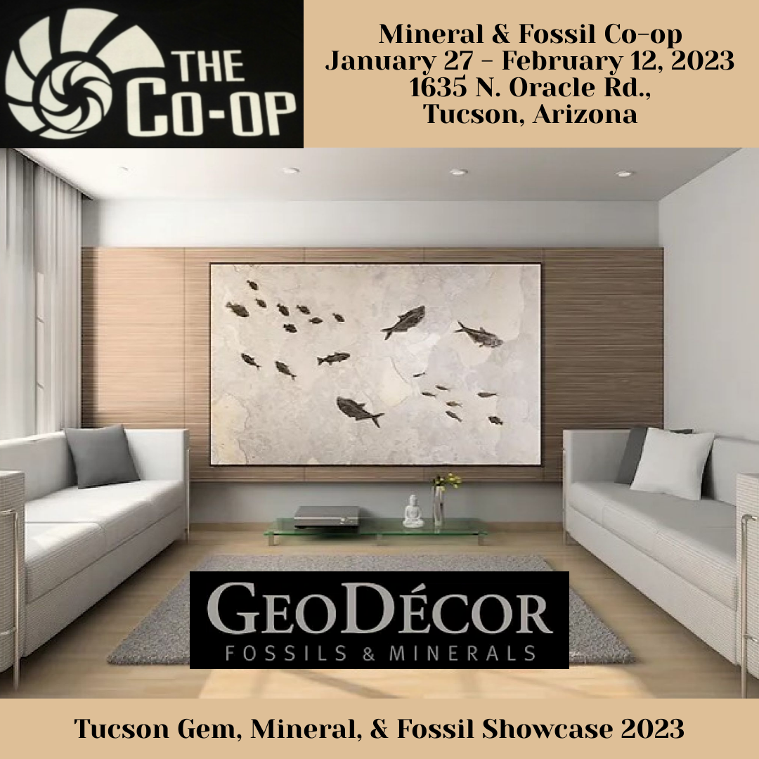 Mineral & Fossil Co-op 2023