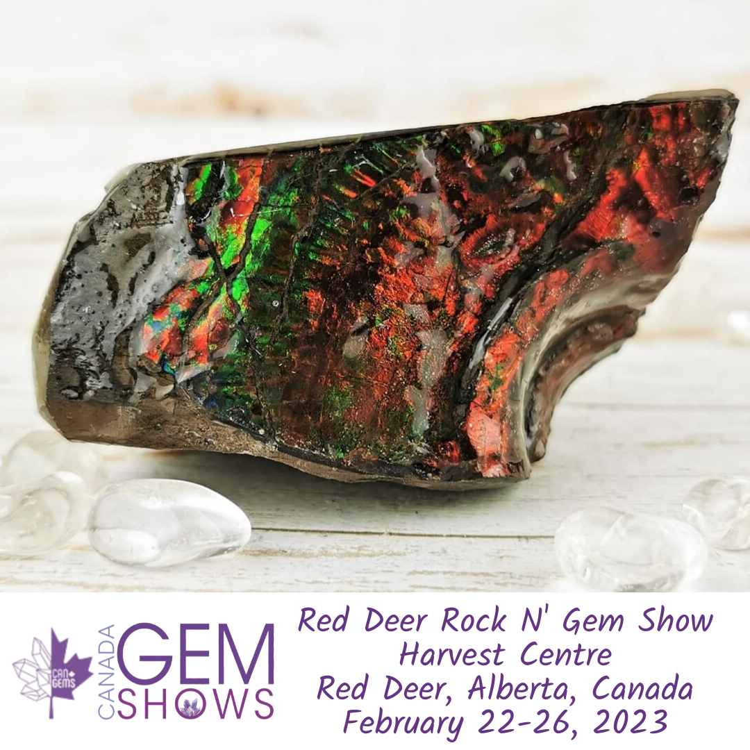 Red Deer Rock N' Gem Show 2023