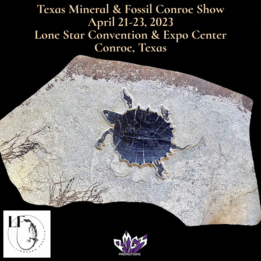 Texas Mineral & Fossil Conroe Show 2023