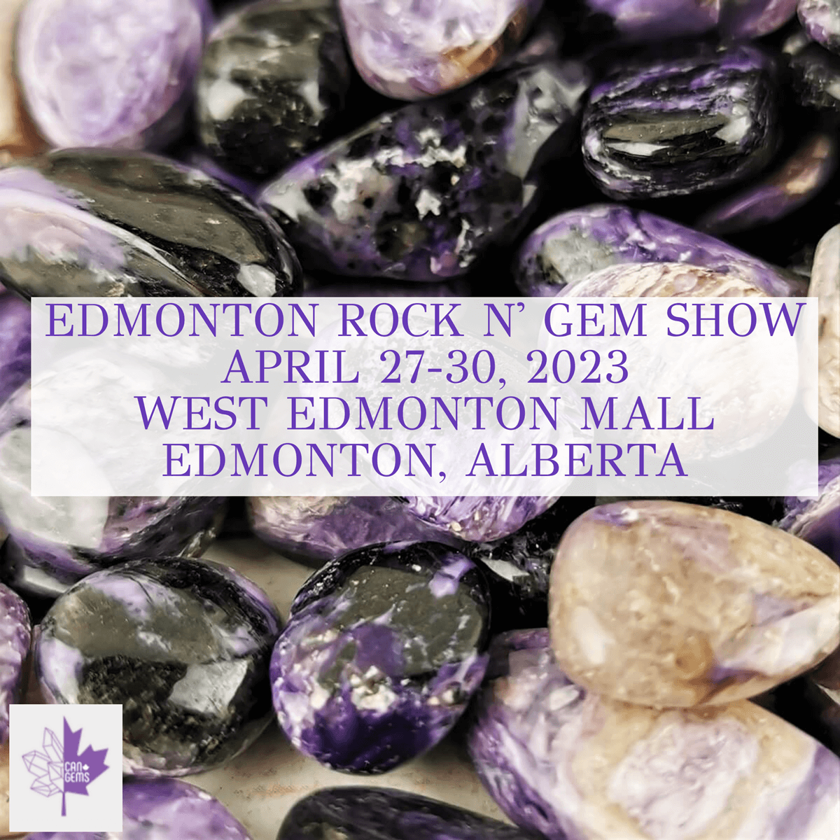 Edmonton Rock N' Gem Show 2023