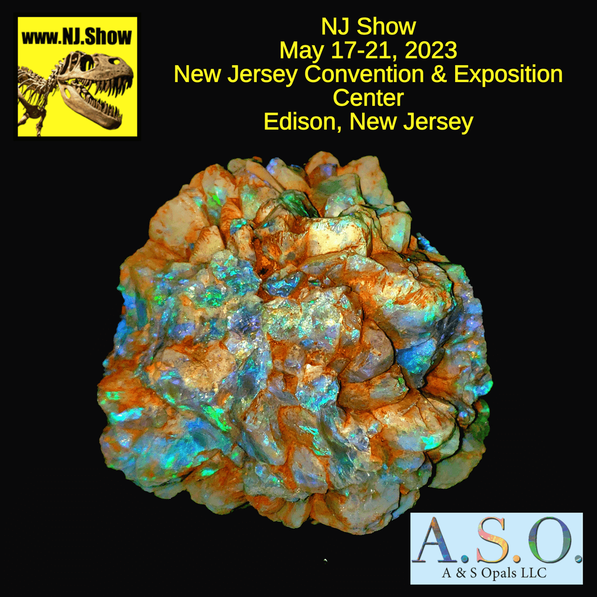 New Jersey Mineral, Fossil, Gem, & Jewelry Show 2023