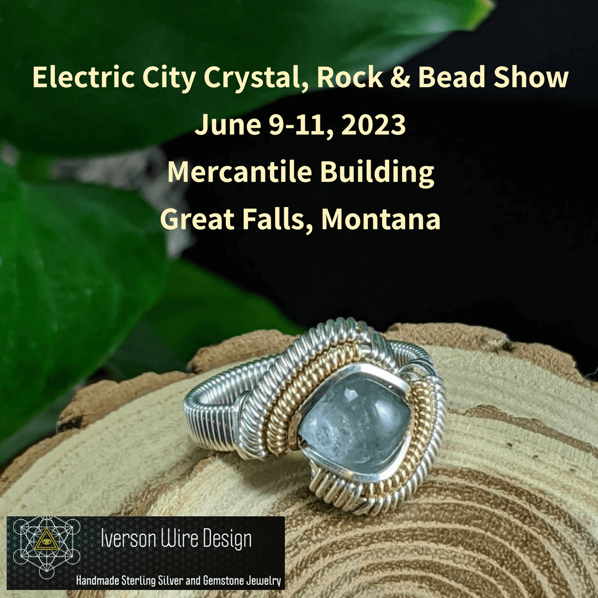 Electric City Crystal Rock and Bead Show 2023