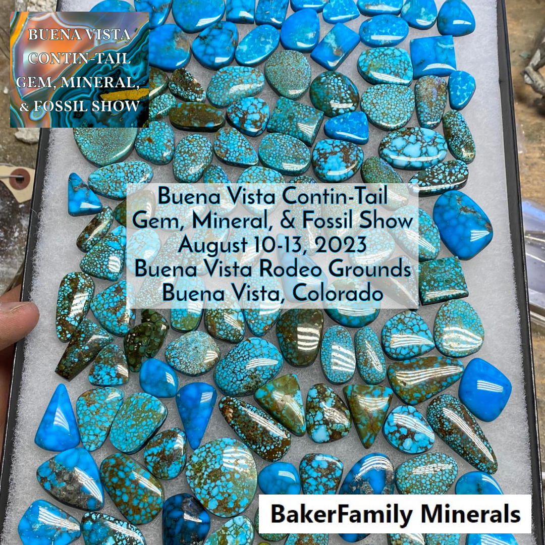 Buena Vista Contin-Tail Gem, Mineral, & Fossil Show 2023