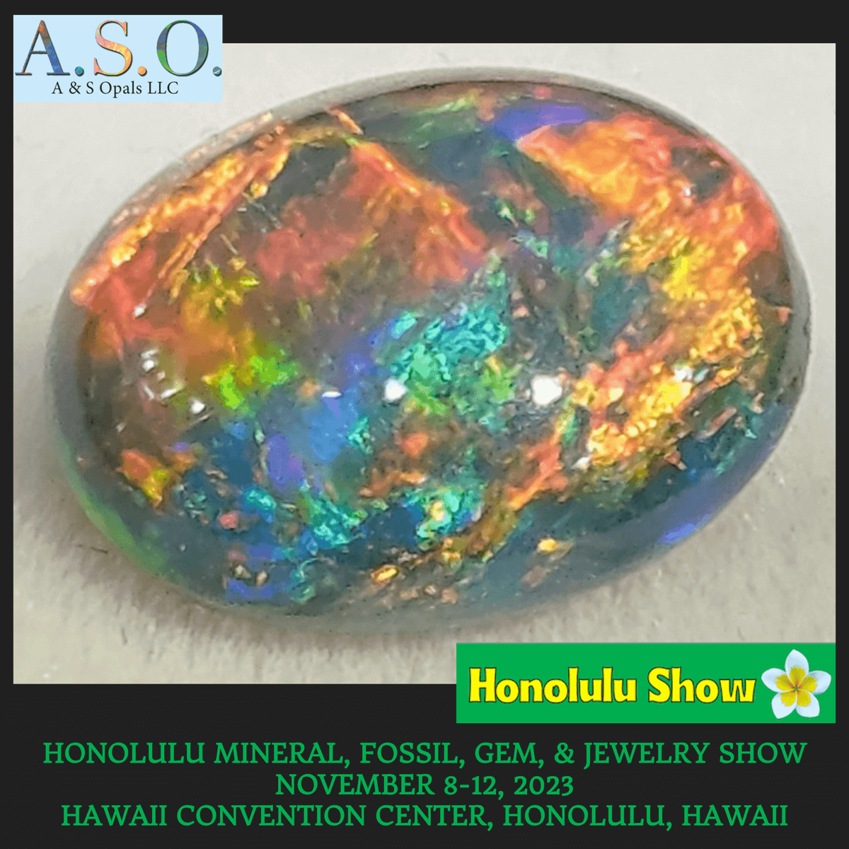 Honolulu Mineral, Fossil, Gem, & Jewelry Innagural Show