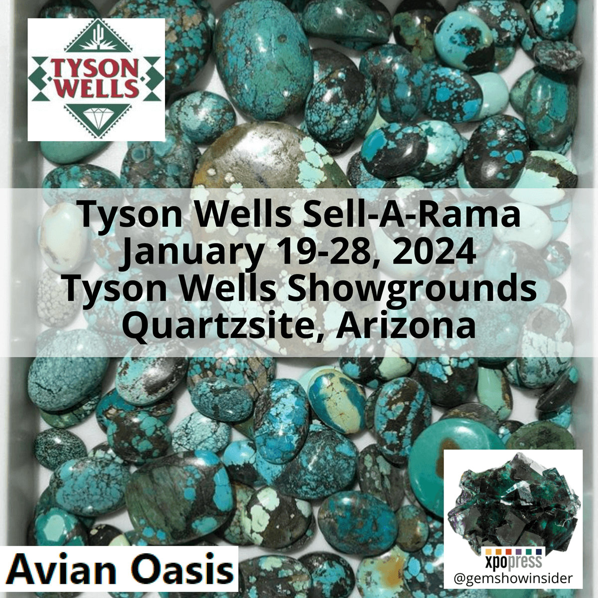 Tyson Wells Sell-A-Rama 2024