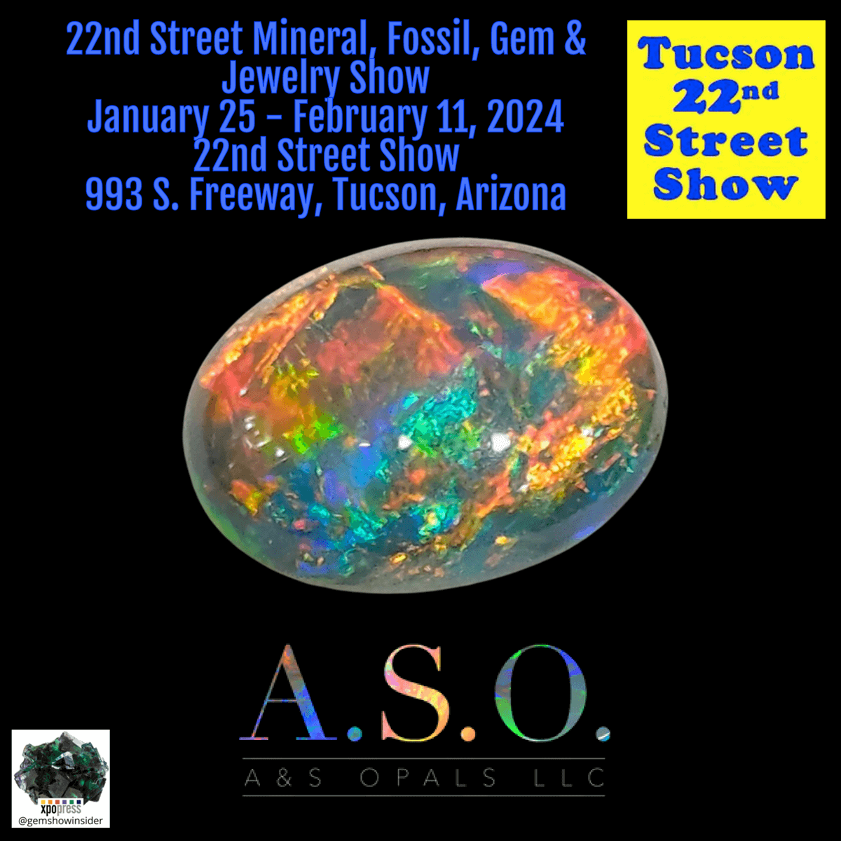 22nd Street Mineral, Fossil, Gem & Jewelry Show 2024