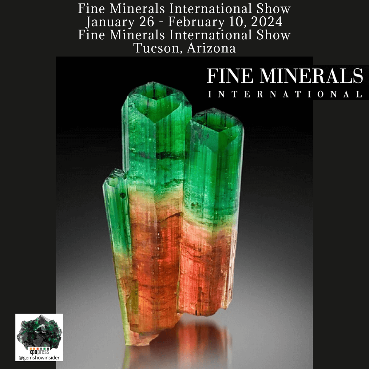 Fine Minerals International Show 2024 - Tucson