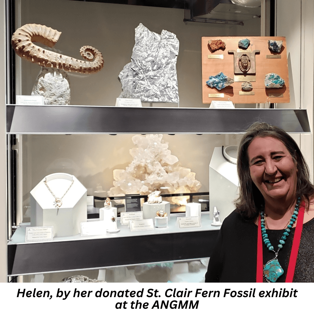 Xpo Press staff writer donates world-famous St. Clair fern fossils to Alfie Norville Museum  