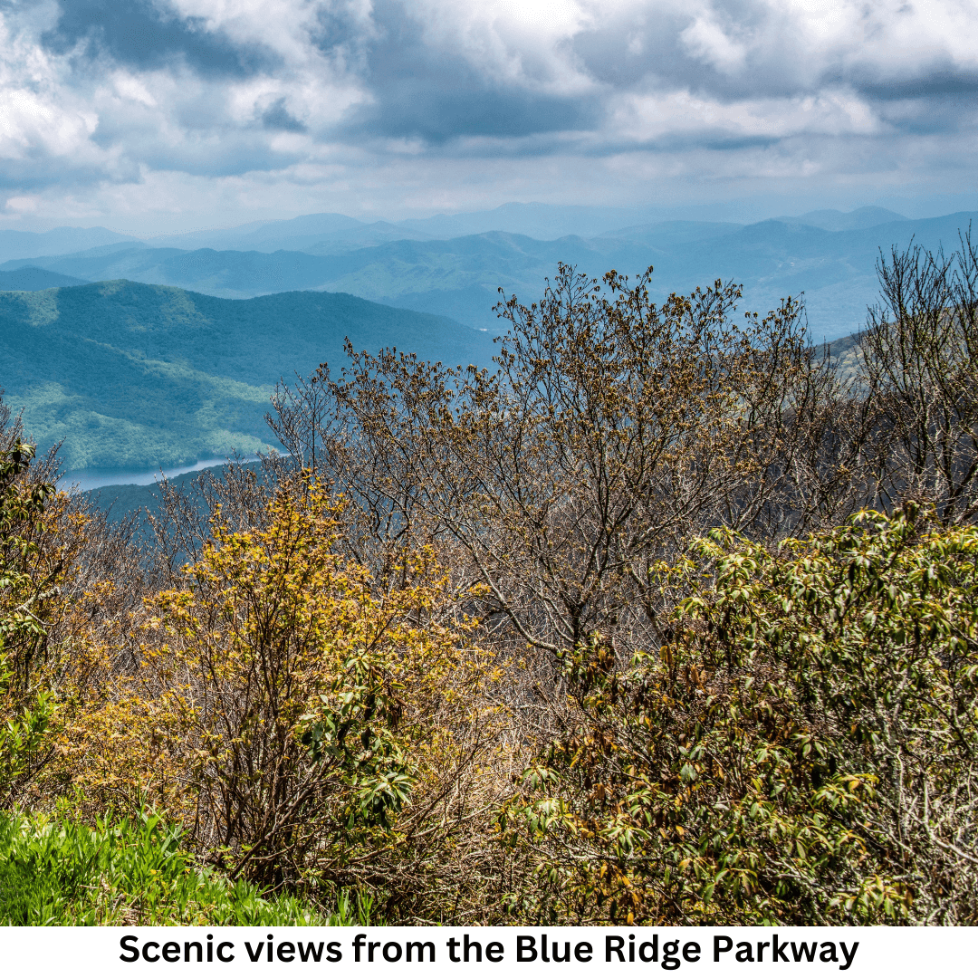 Franklin, NC, Hosts the 58th Annual Macon County Gemboree: A Celebration of Gems, History, and Adventure