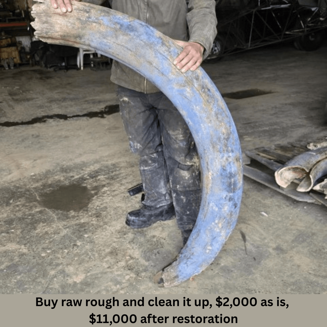 Tips for Getting Good Deals at Gem, Mineral, and Fossil Shows