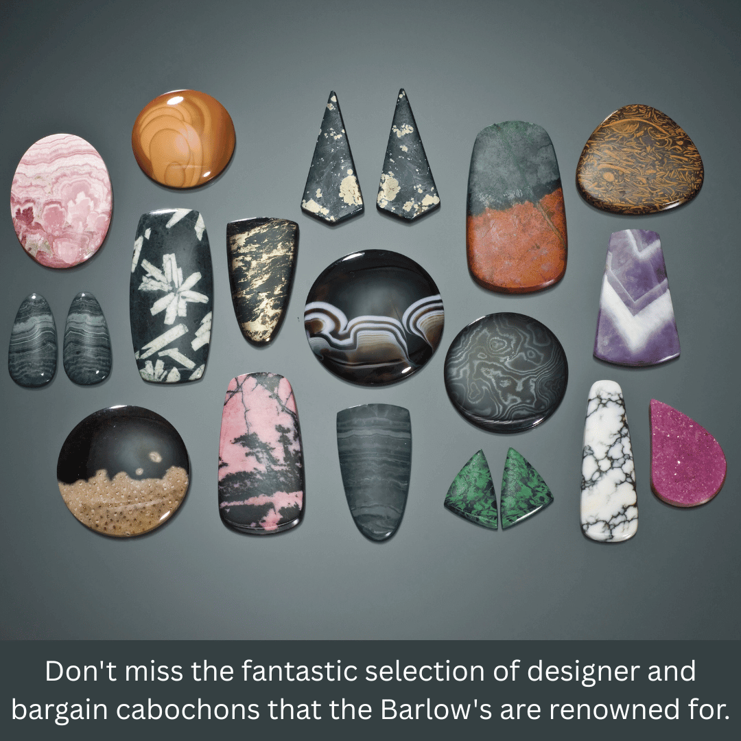 The Colorado Mineral & Fossil Fall Show To Debut Barlow's Gems' Kirkby Petrified Wood Collection & Cabochon Artistry