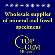 https://xpopress.com/vendor/profile/290/top-gem-minerals-inc