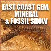 https://xpopress.com/show/profile/1/east-coast-gem-mineral-fossil-show