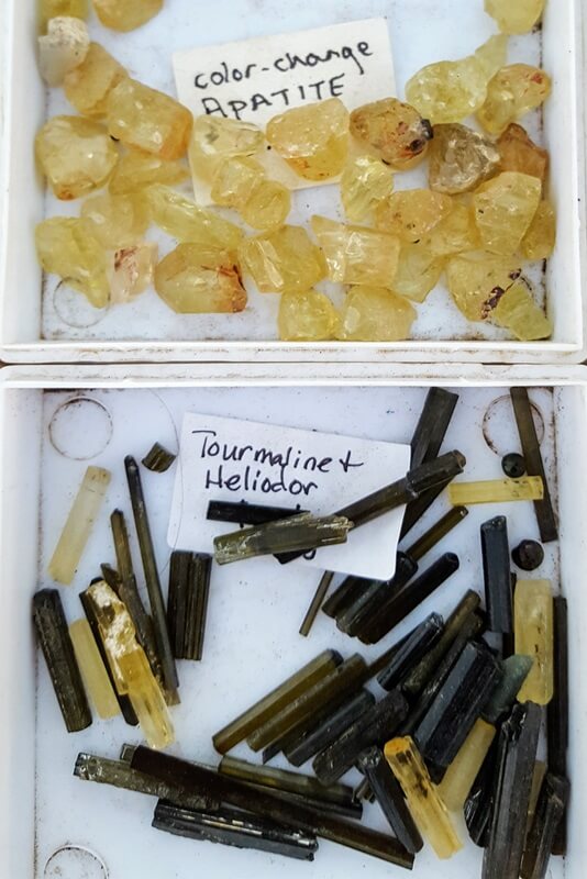 Heliodor - the yellow to golden variety of Beryl, is named after the Greek "helios" - sun and "doron" - gift.  With its lemon to honey-yellow color it is truly a gift of the sun.
Vendor: High Desert Gems & Minerals
Photo: Robyn Hawk