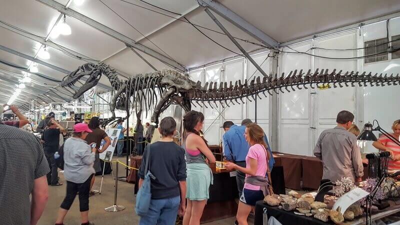22nd Street Show has some very LARGE displays! It was hard to get this entire life sized Torvosaurus in the frame!