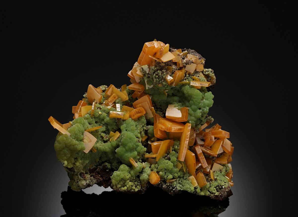 The Tucson Fine Mineral Gallery