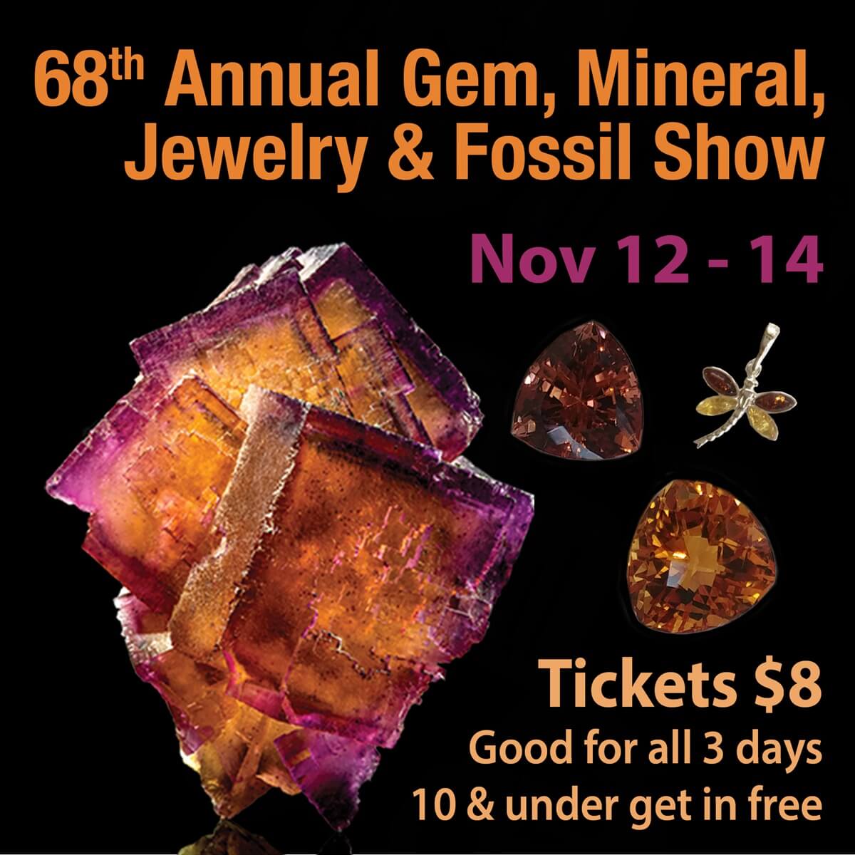 Houston Gem & Mineral Society Annual Show