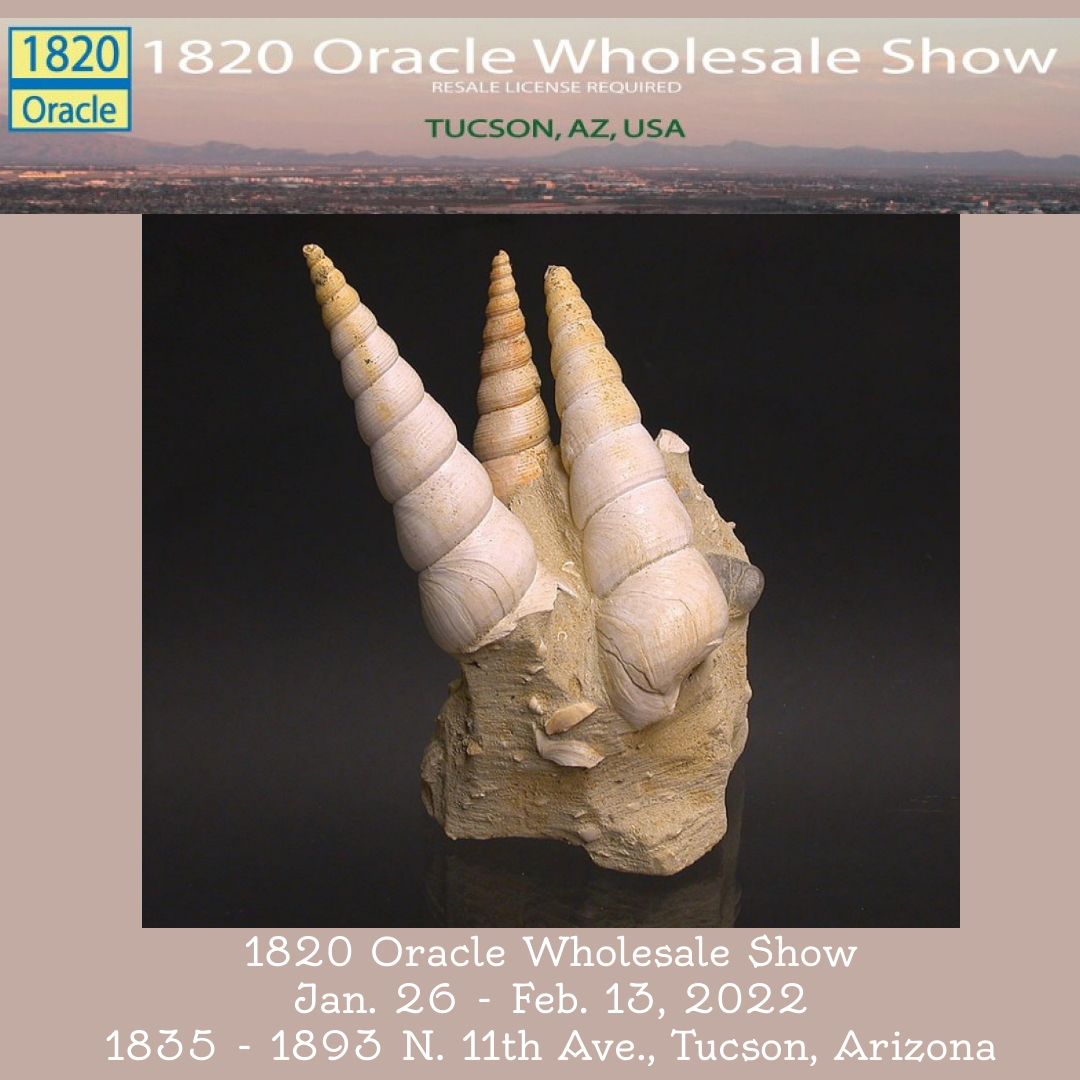1820 Oracle Wholesale Show