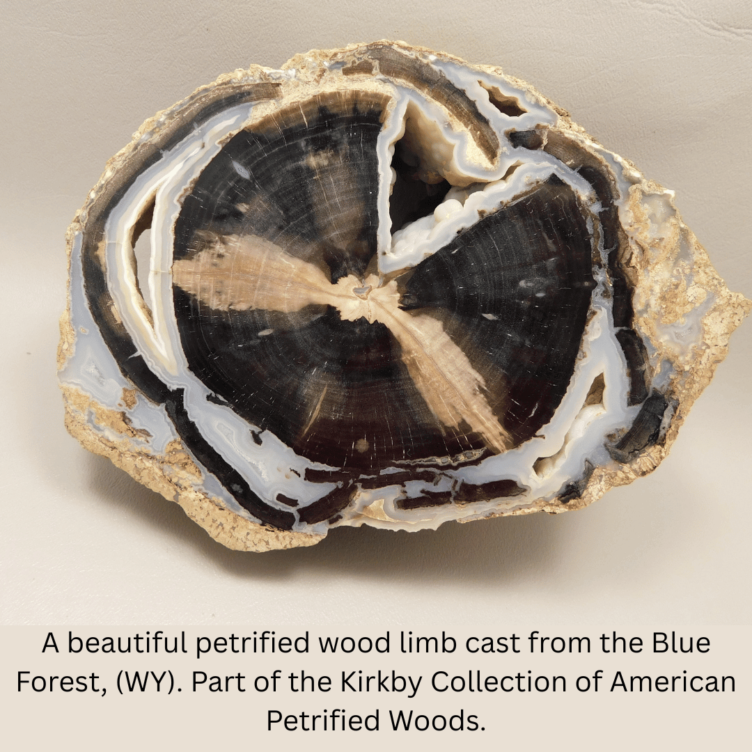 Beautiful and unique cabochons designed and cut by Bruce and Debbie Barlow. 