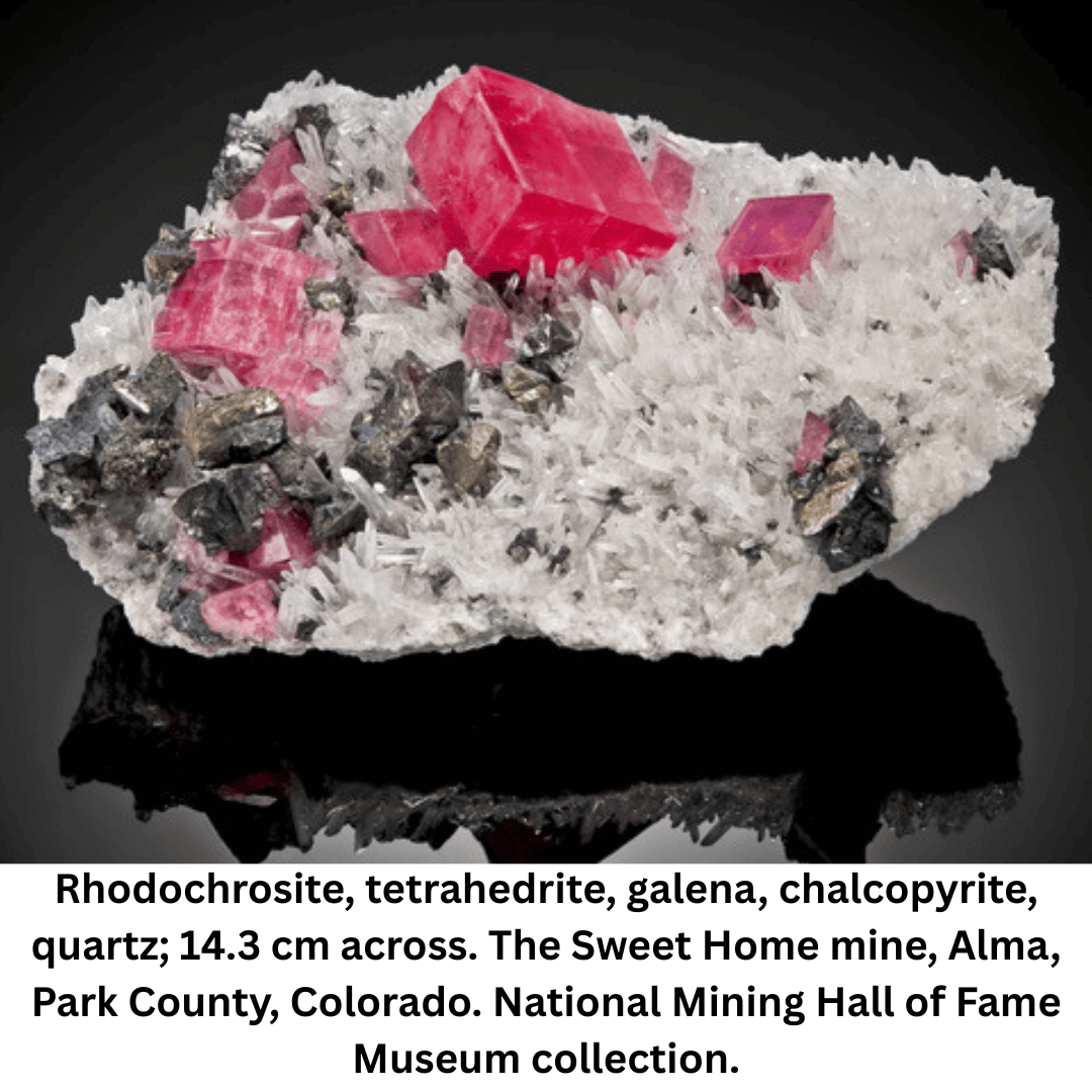 Rhodochrosite, tetrahedrite, galena, chalcopyrite, quartz; 14.3 cm across. The Sweet Home mine, Alma, Park County, Colorado. National Mining Hall of Fame Museum collection. 