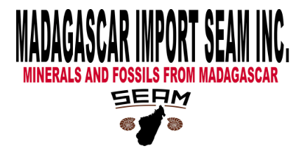 Madagascar Import SEAM, Inc. Logo