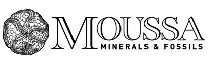Moussa Minerals & Fossils Logo