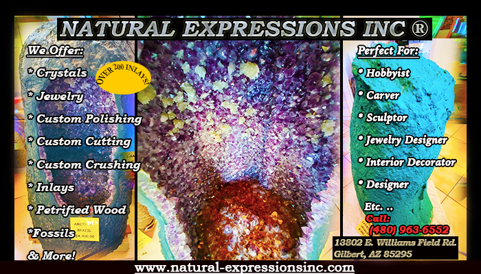Natural Expressions, Inc. Logo