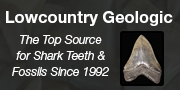 LowCountry Geologic Logo