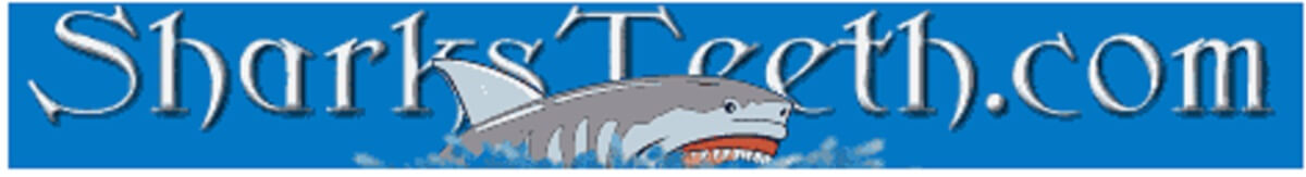 Sharksteeth.com Logo