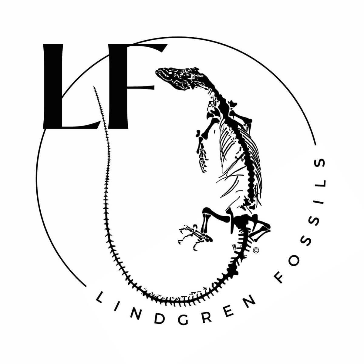 Lindgren Fossils LLC Logo