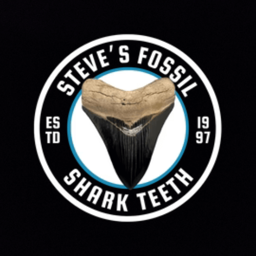 Steve's Fossil Shark Teeth Logo