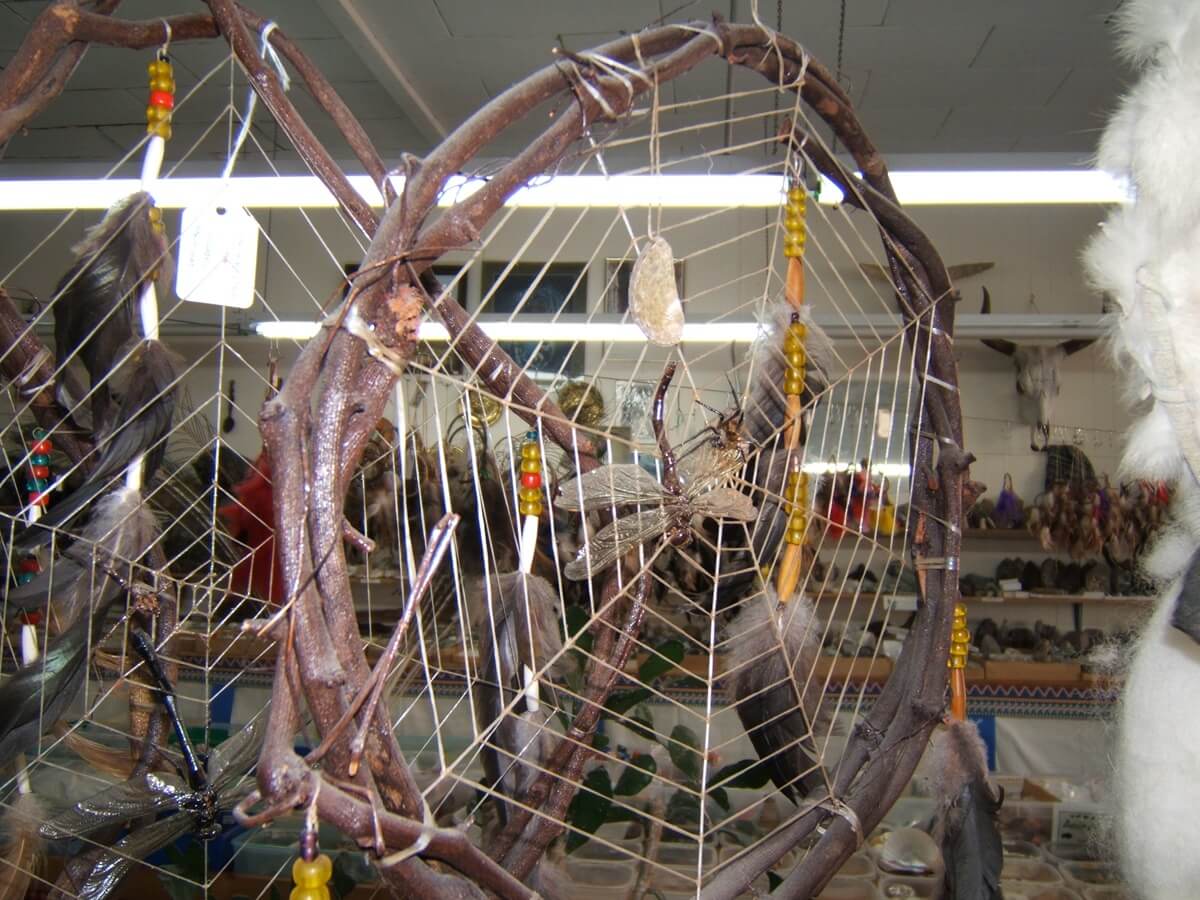 This is one of the dream catchers that I make. Looks like a spider web, doesn't it? And see the dragonfly and spider in it? They are real. 