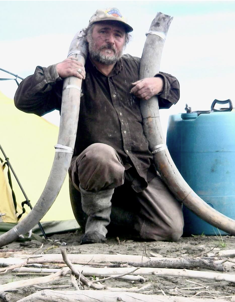 finding matched mammoth tusks interior Alaska