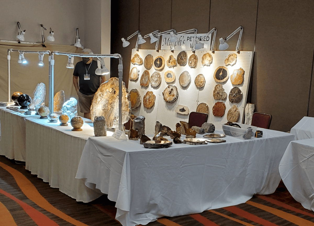 Our booth at the Colorado Mineral & Fossil Show at Crowne Plaza