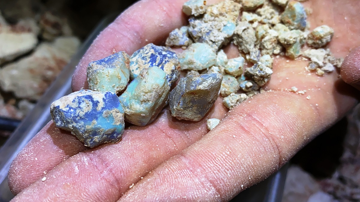 Rough opal gouged from the mine face, DTEO claim