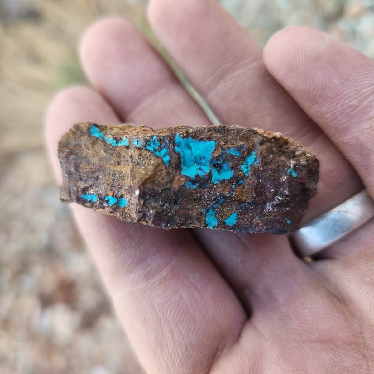 Turquoise 
Pinel County, Arizona 