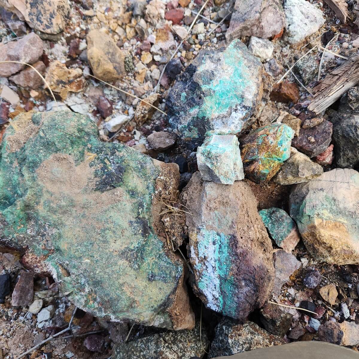 Copper minerals in wash 
Pinal County, Arizona 