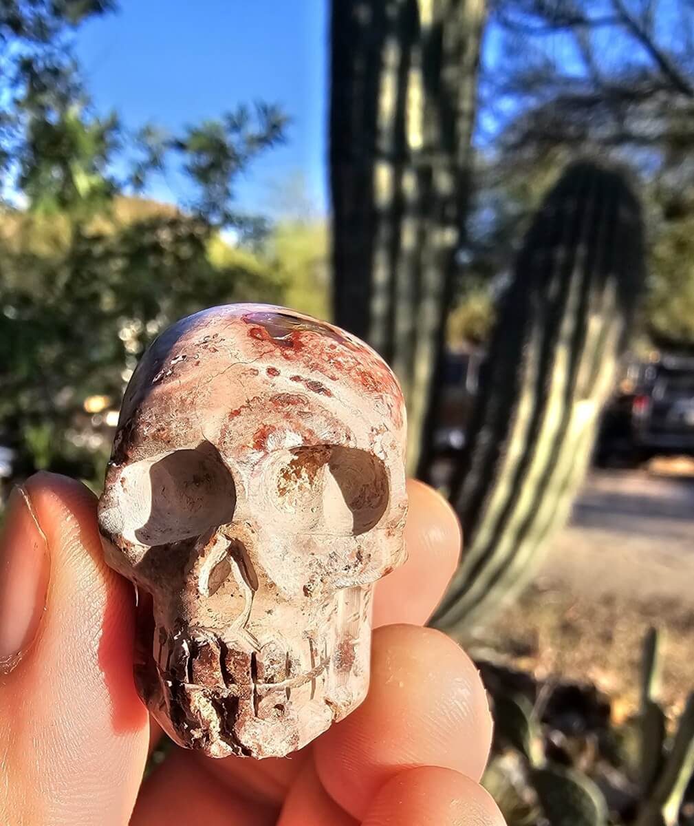 A stone skull carving.